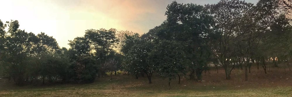 DiogoFel's profile banner image