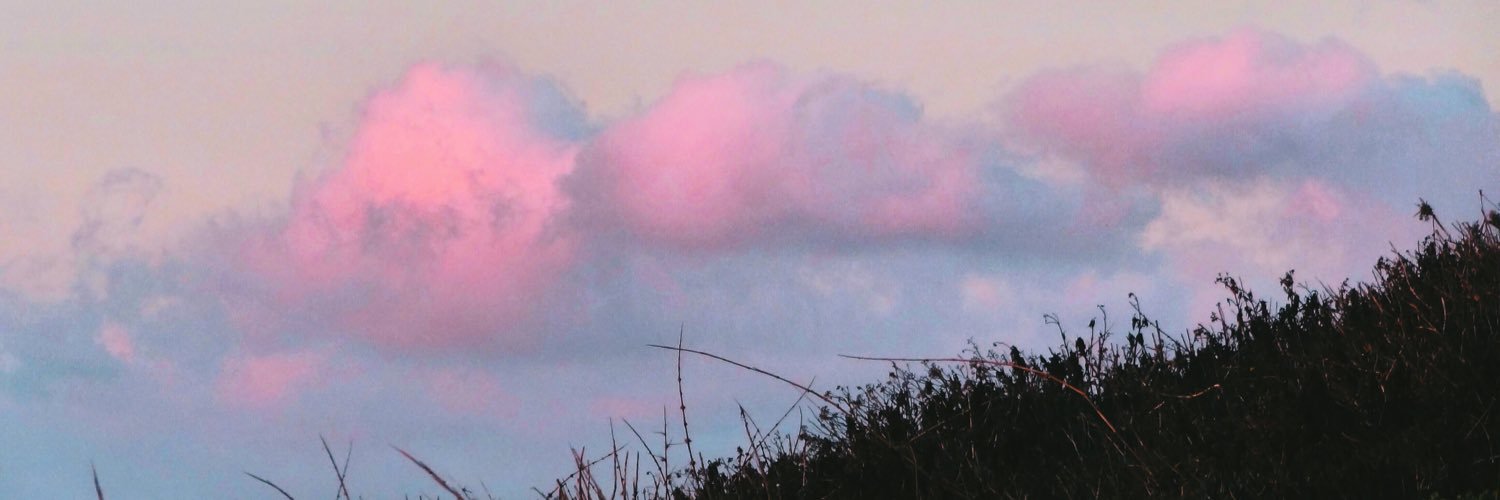 nyckholass's profile banner image