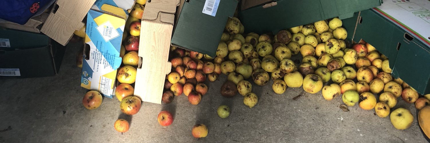 Miriam Dafydd 🏴󠁧󠁢󠁷󠁬󠁳󠁿 banner