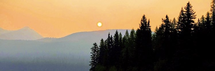 Scott Briscoe banner