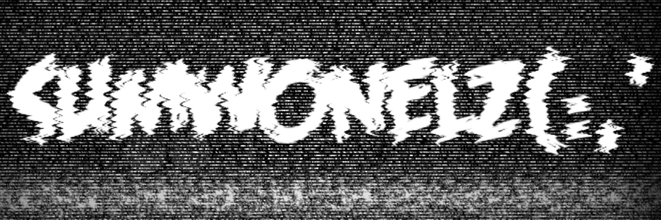 SumWonElz's profile banner image