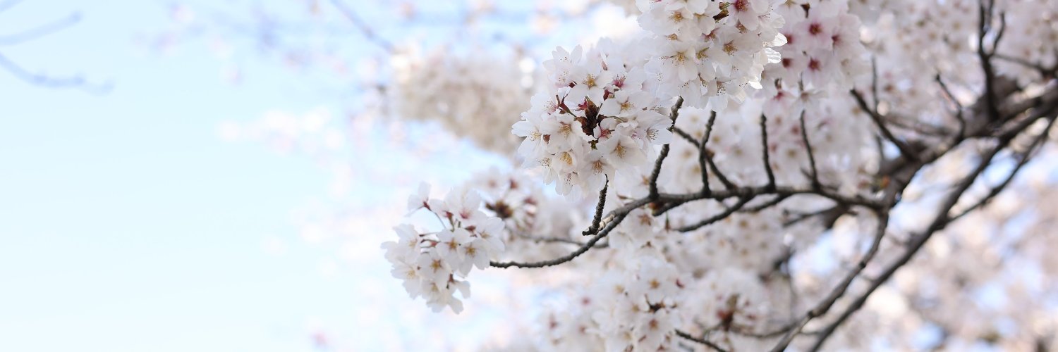 エポ banner