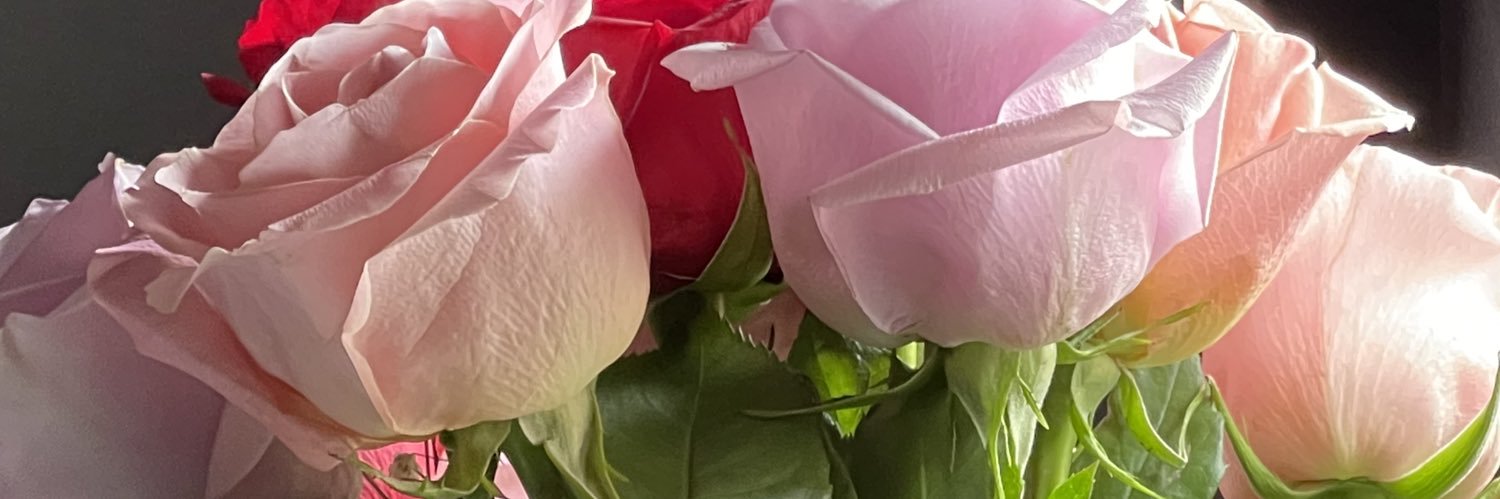 ngyxa_'s profile banner image