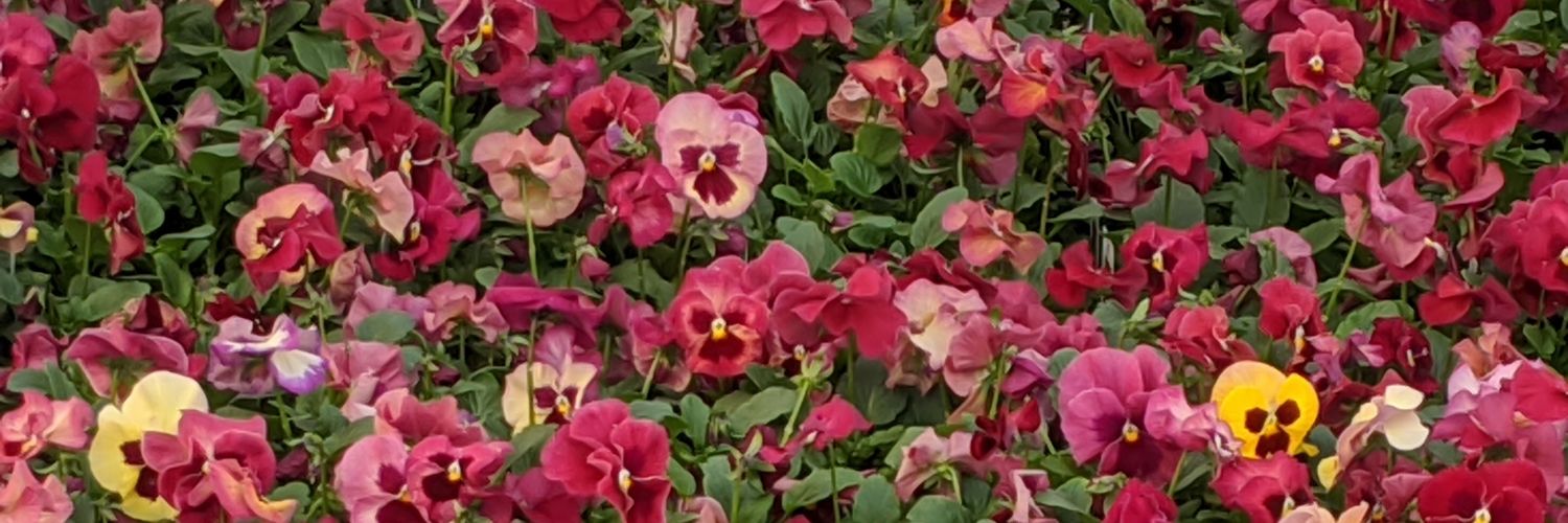Smcdougall27's profile banner image