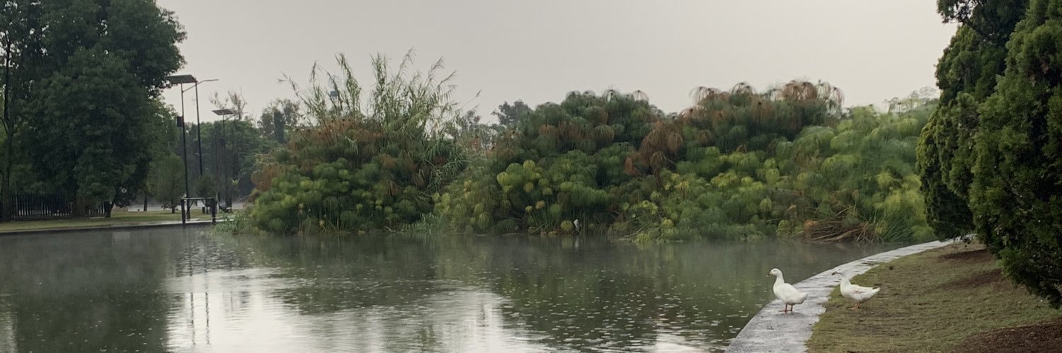 opuɐʌo ɐuɐıɹpɐ banner