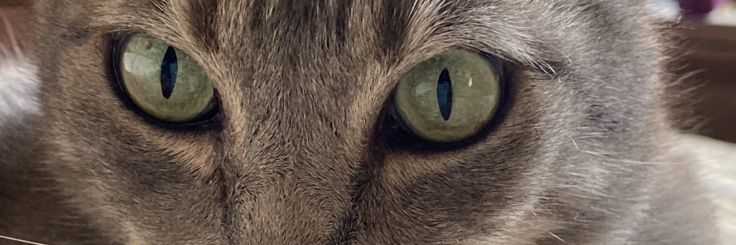 emmarv's profile banner image