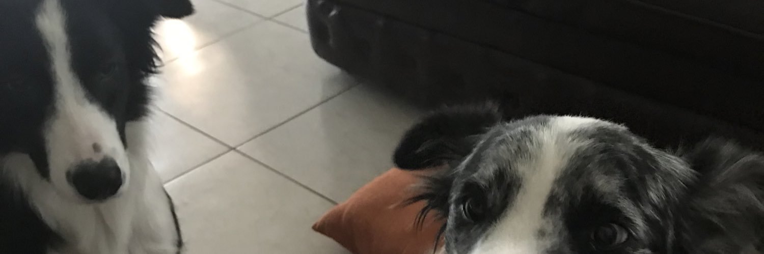 juseppe21's profile banner image