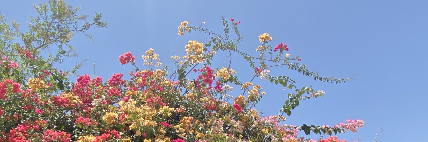 فهد بن محمد بن علي بن راشد الخاطر banner