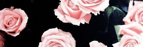 haley7995's profile banner image