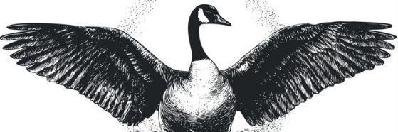 jgervase's profile banner image