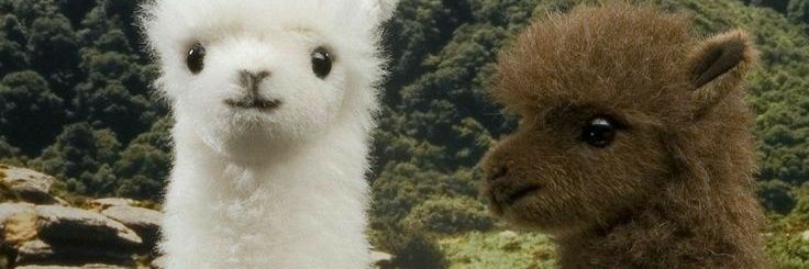 kaianyy's profile banner image