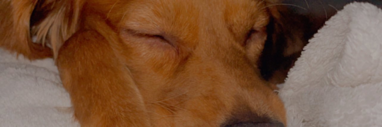 _Naylor's profile banner image