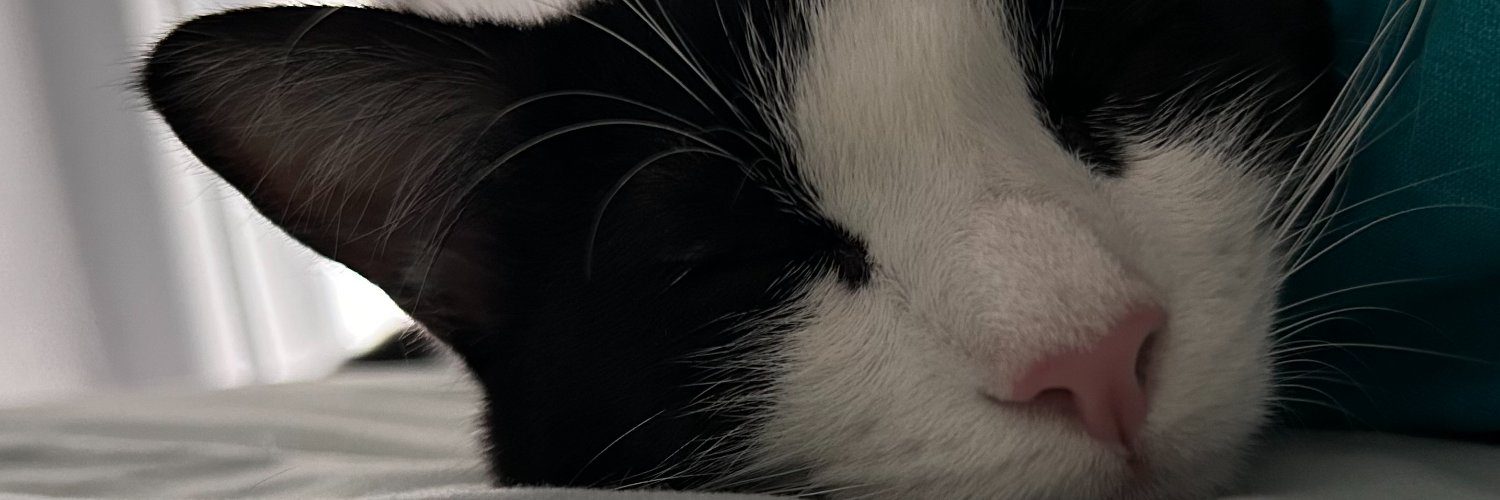 Rox_Roxtar's profile banner image