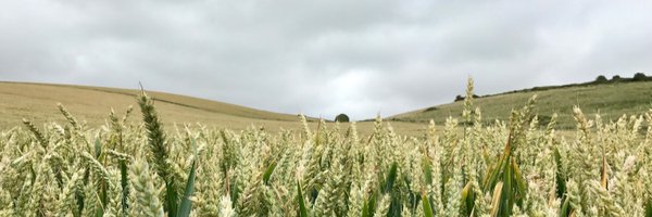 Dabberlight Profile Banner