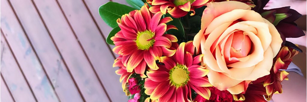 MelissaaWeiss's profile banner image
