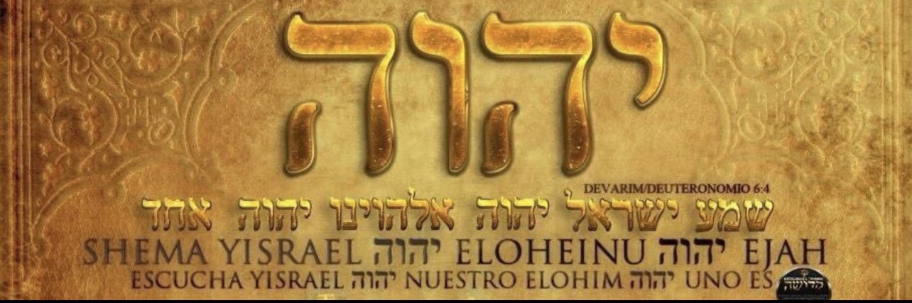 Vienchy 🙏🏻🧡🇮🇱🎗️עם ישראל חי banner
