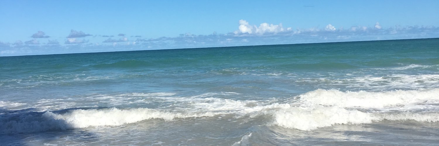 renatinha_17's profile banner image