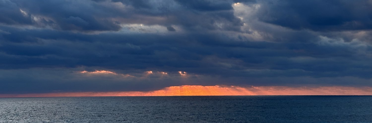 Scott King banner
