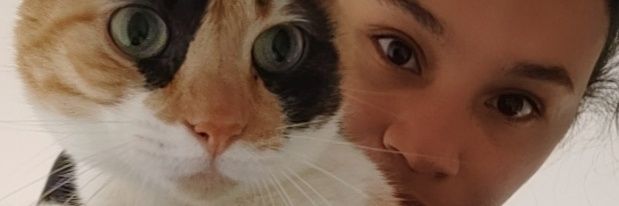 krismarHB's profile banner image
