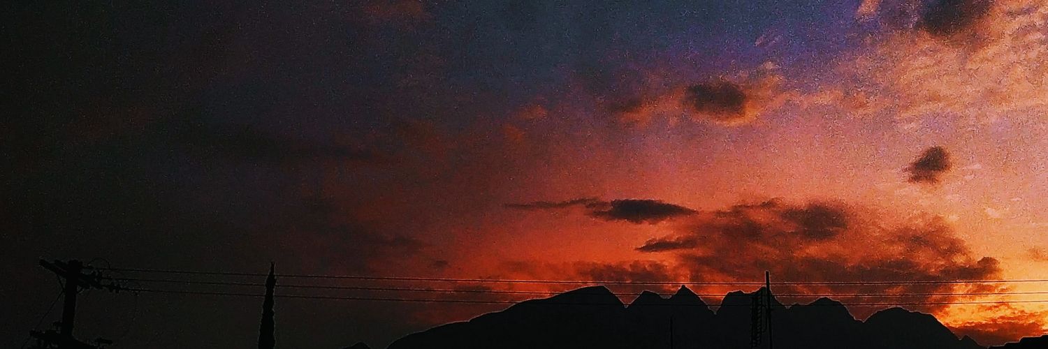 Vi_da_les's profile banner image