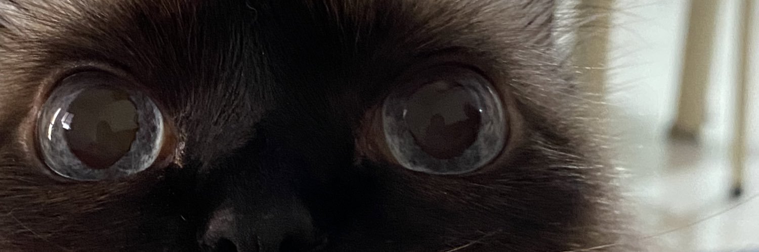 isabellamep's profile banner image
