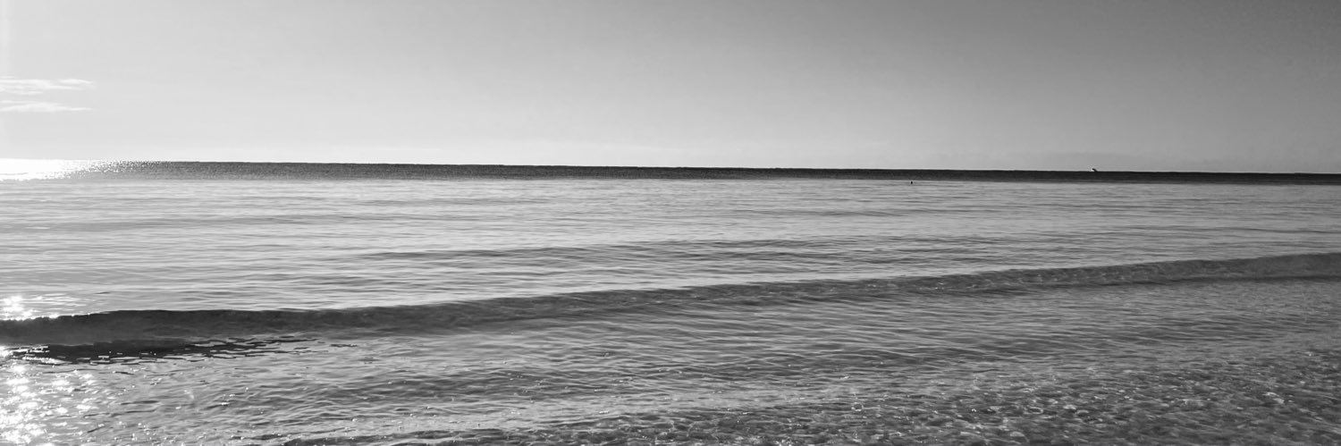 Martín Delgado banner