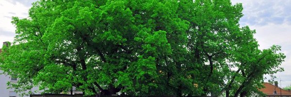 digiom Profile Banner