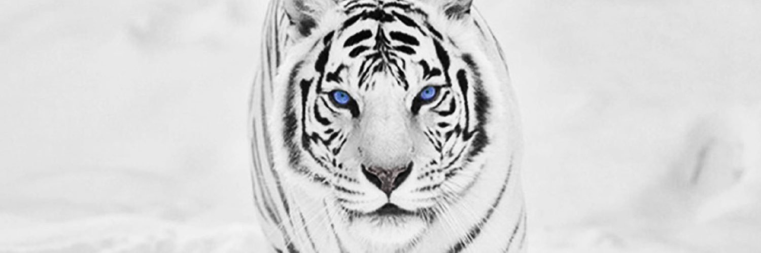 Moon__Walk_'s profile banner image