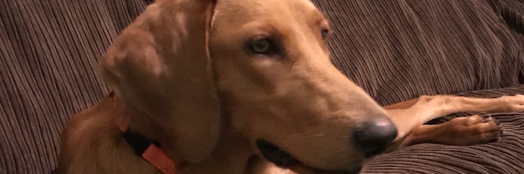 kmackfl's profile banner image
