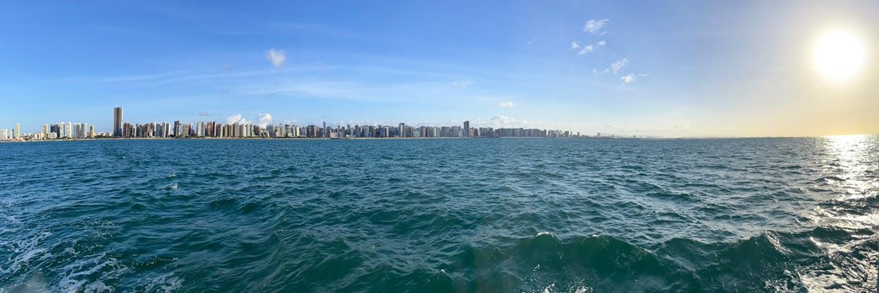 Beatriz Jucá banner