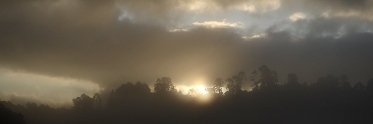Carolina Jiménez banner