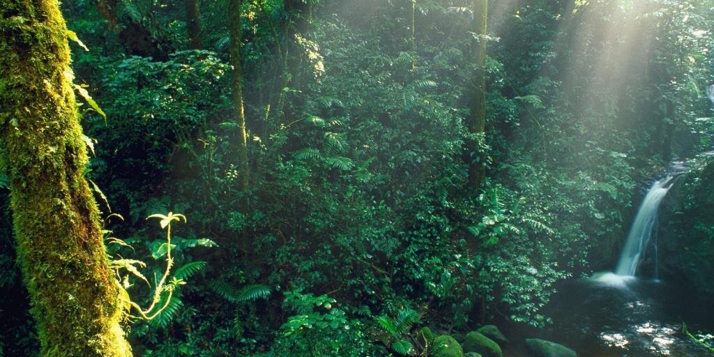 AnjodeAruanda's profile banner image