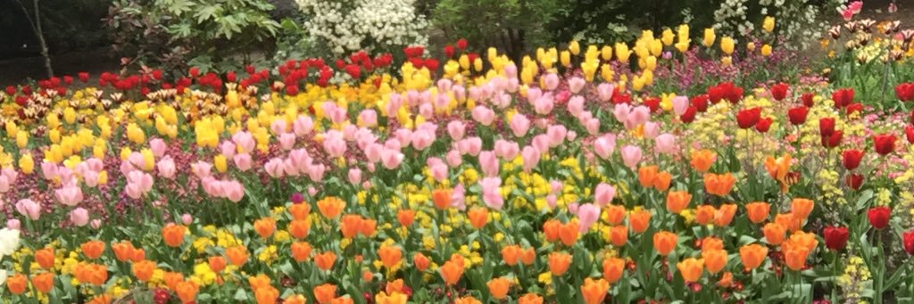 lindsaycrain's profile banner image