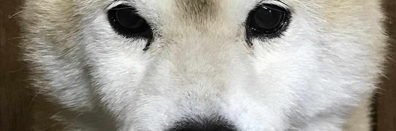 takashiorkashi's profile banner image