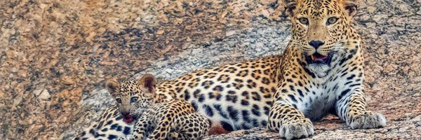 beenamistry Profile Banner