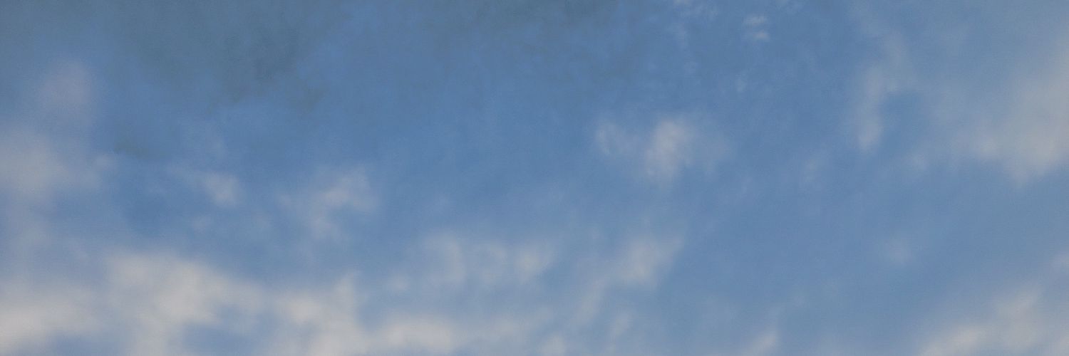 Sonicadesaibaba's profile banner image
