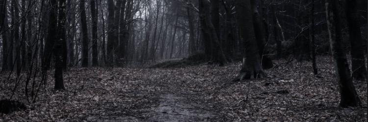 Katiegrace96's profile banner image