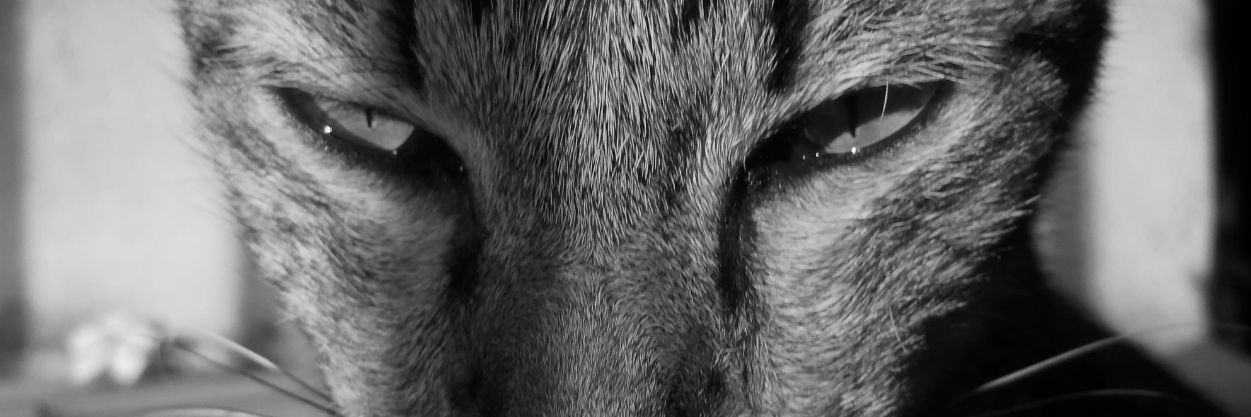 golz24's profile banner image