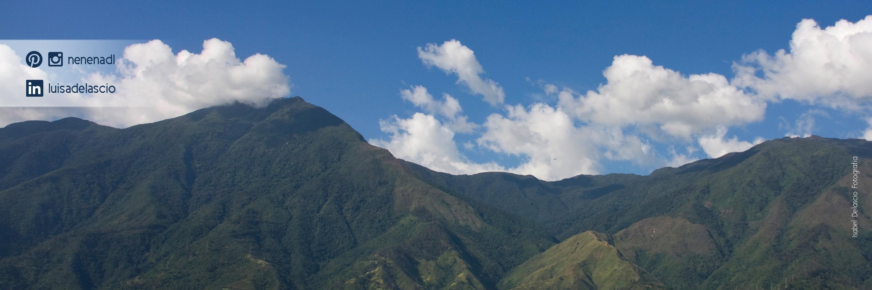 nenenadl's profile banner image