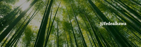 fedeaikawa Profile Banner