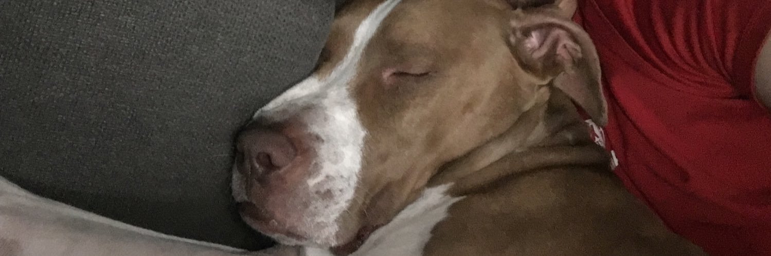 BrockDaHouse's profile banner image