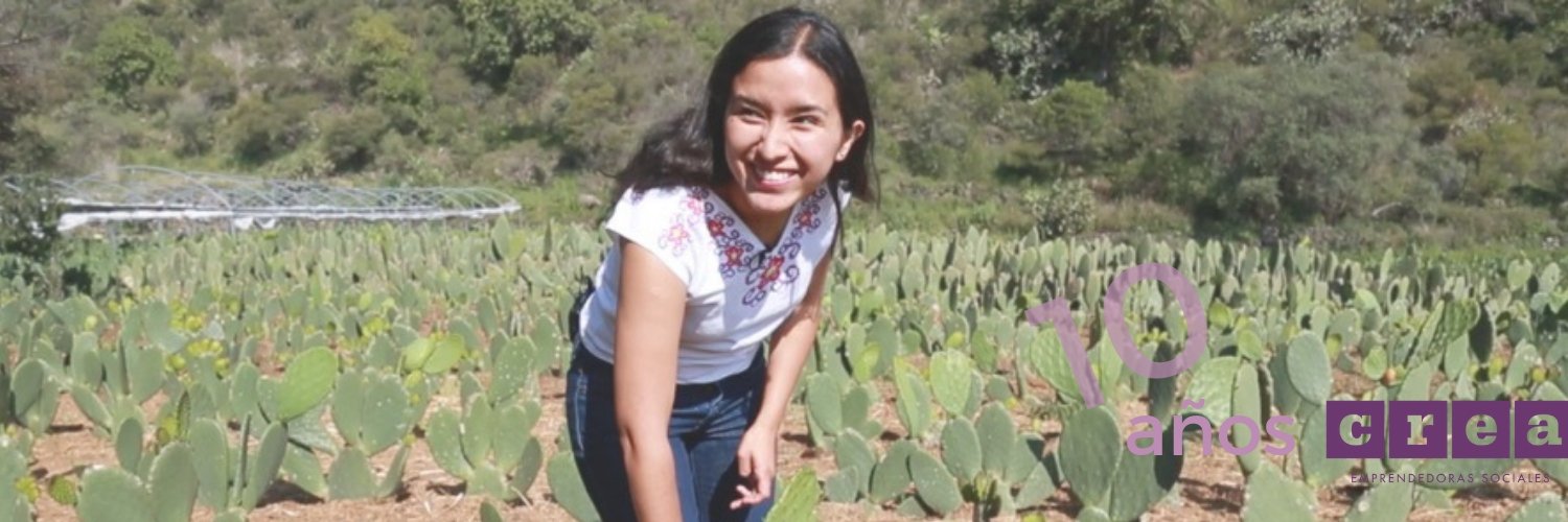 creando_juntas's profile banner image