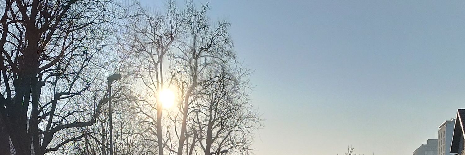 sreeeze's profile banner image