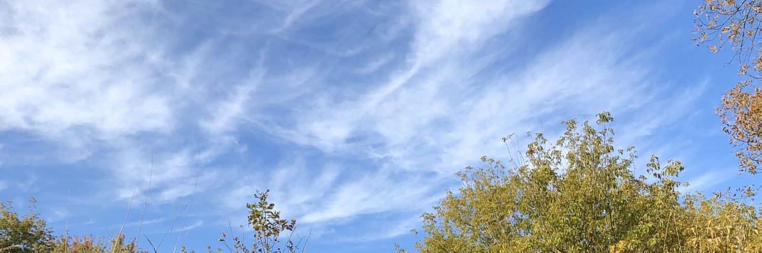 Kristopher Turner banner