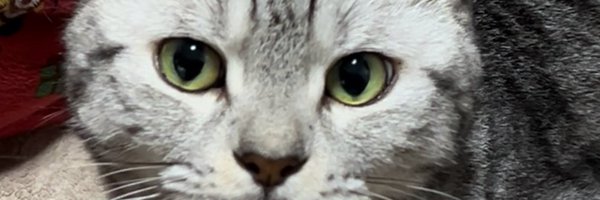 smoky09 Profile Banner