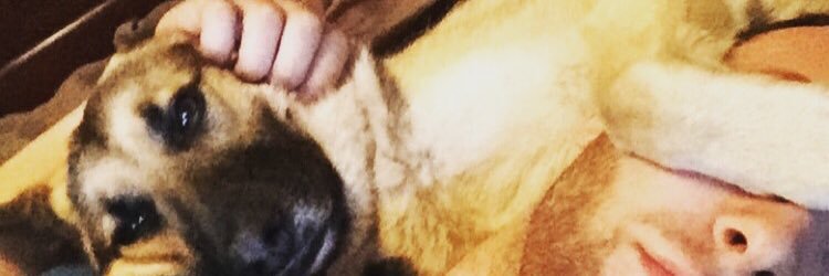 xmarkx21's profile banner image