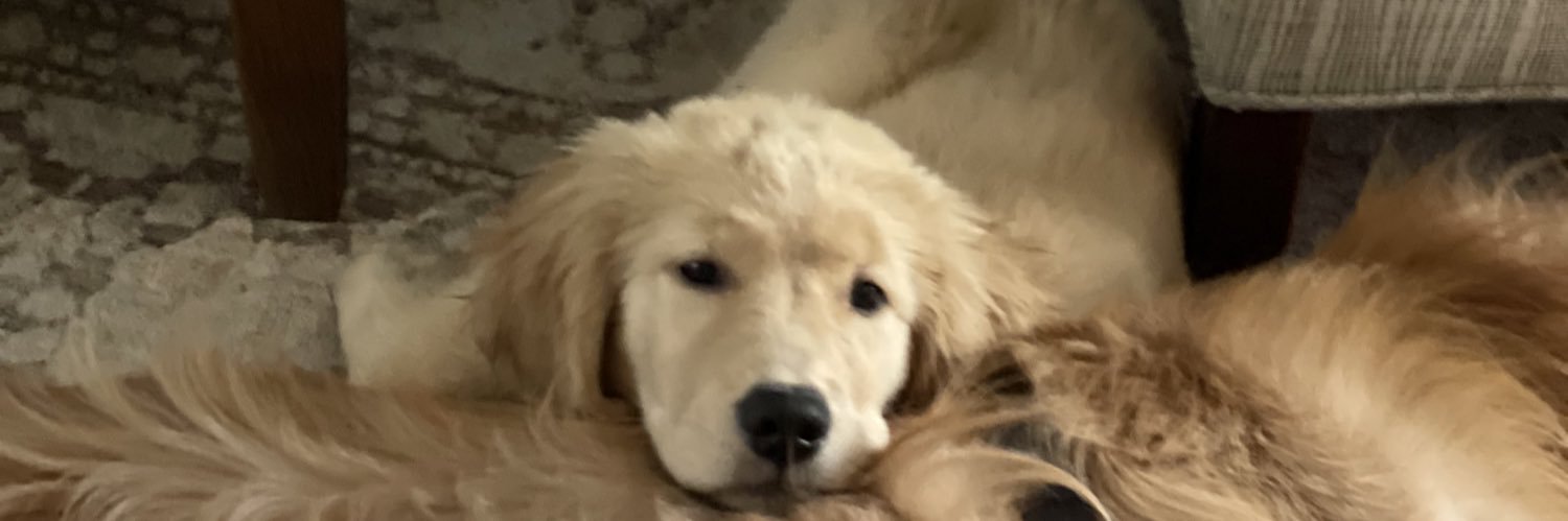 Michael Richman MD, MMM, FACS banner