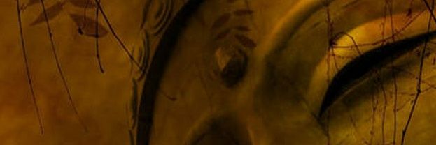 DMBroderick's profile banner image