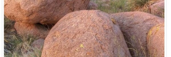 temodent Profile Banner
