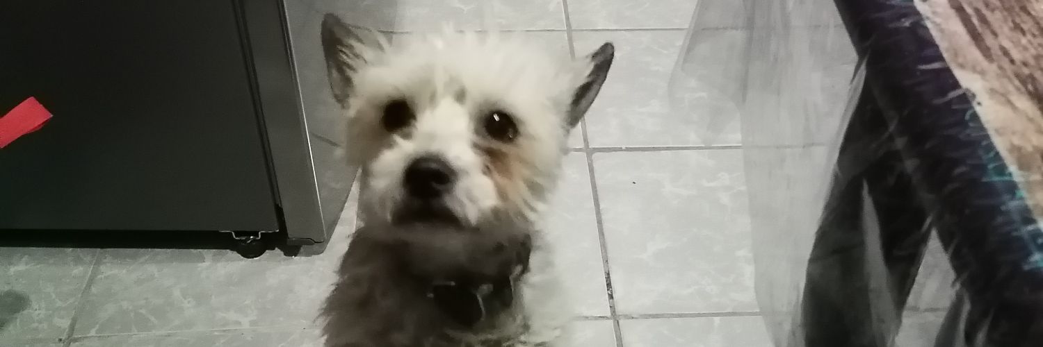 Fonyss's profile banner image